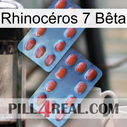 Rhinocéros 7 Bêta 05